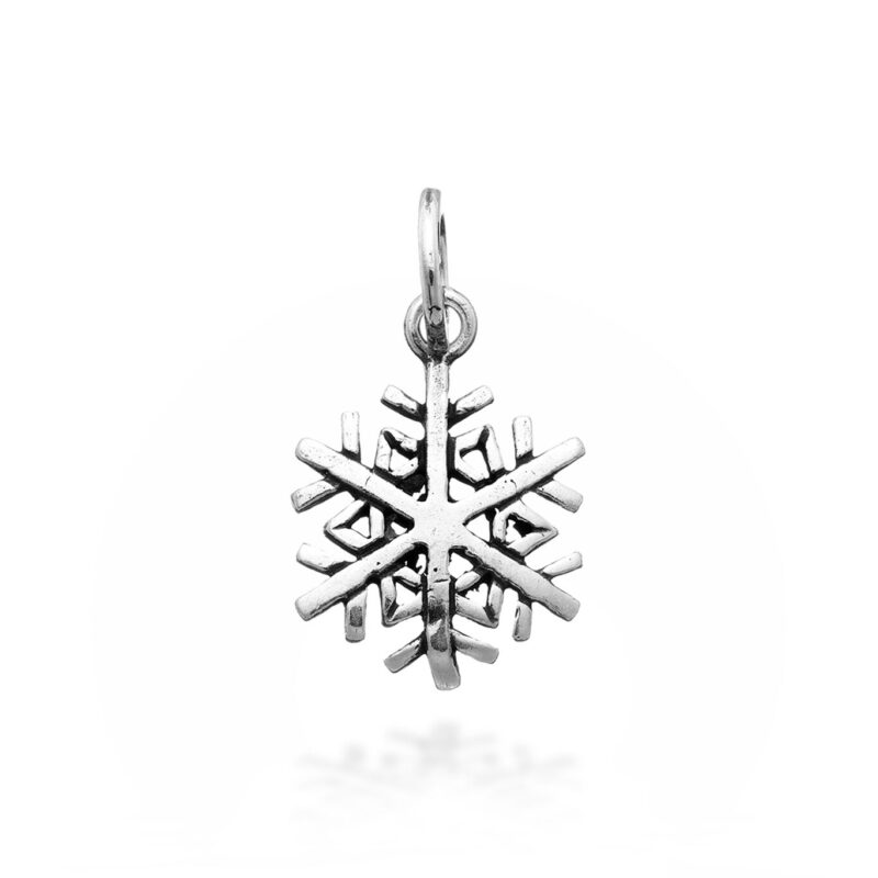 Charm FIOCCO di NEVE