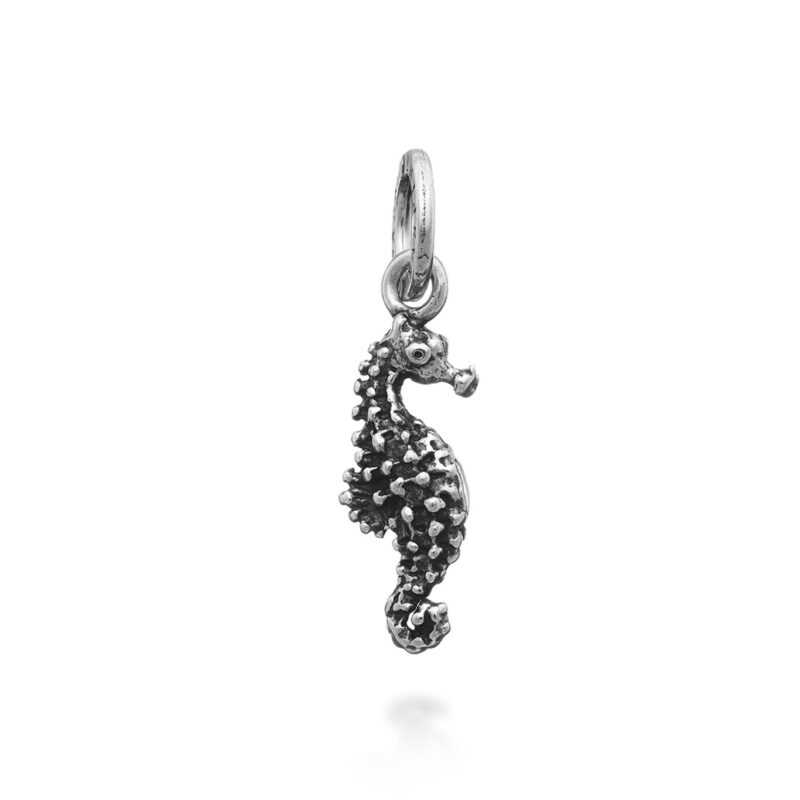Charm CAVALLUCCIO MARINO MEDIO